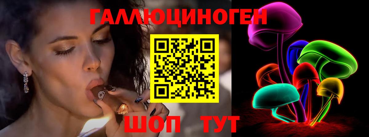 Галлюциногенные грибы Psilocybine cubensis Красноярск